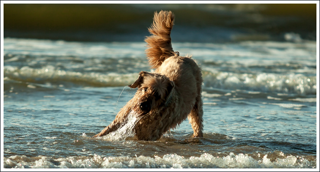 Gim op de foto!