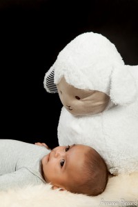 Newborn Fotoshoot JHS Design (49)  